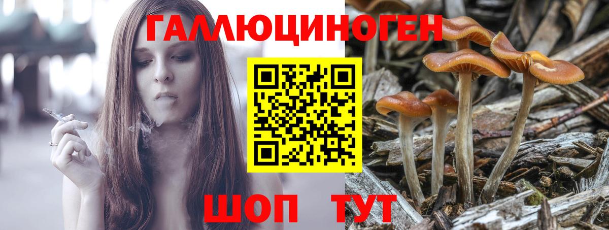Чистополь  Псилоцибиновые грибы Magic Shrooms  Вход с VPN 